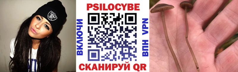Купить где  Тверь  Галлюциногенные грибы Magic Shrooms 